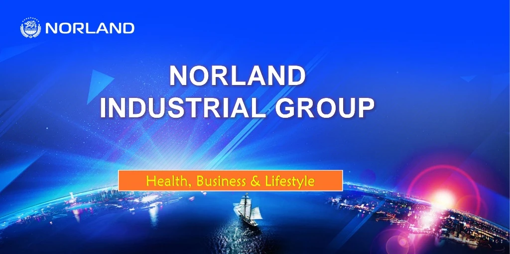 Company Profile